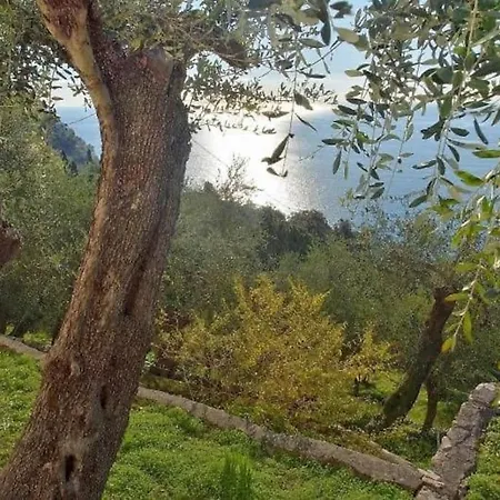 Apartman L'angolo Sul Mare - Residenza A Zoagli